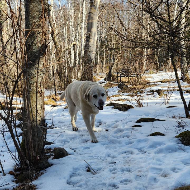 8539982b 9ed1 4f50 8469 5a88165f82d2 1770429233016