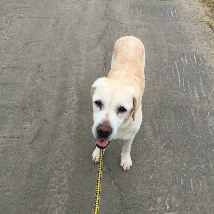 8539a755 75c5 48bc 8299 31d2f73db2ff 1530665074624