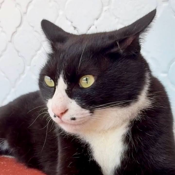 853a01a8 f022 4167 82aa 850bab65d5ee 1745200878215