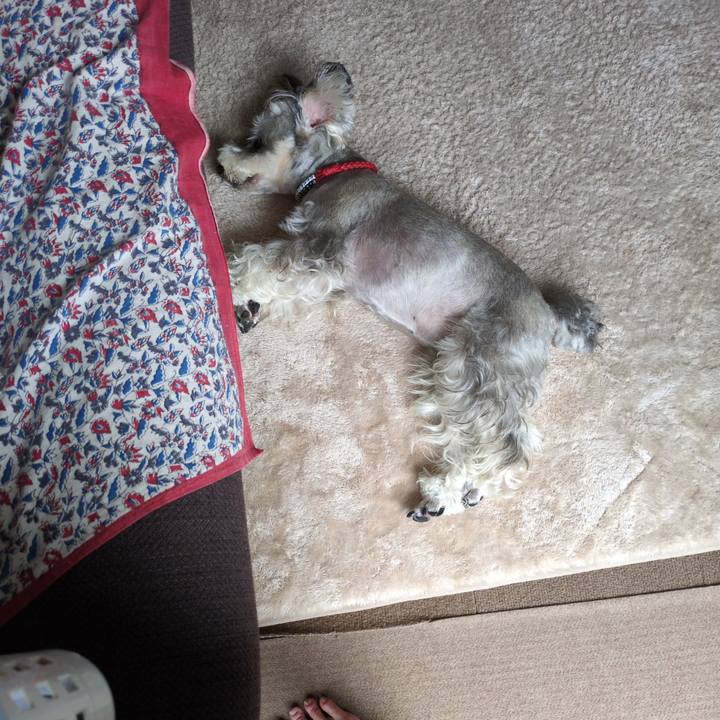 853a20fe c945 4eb4 ad5c 6dbe4abf6edf 1756175507105