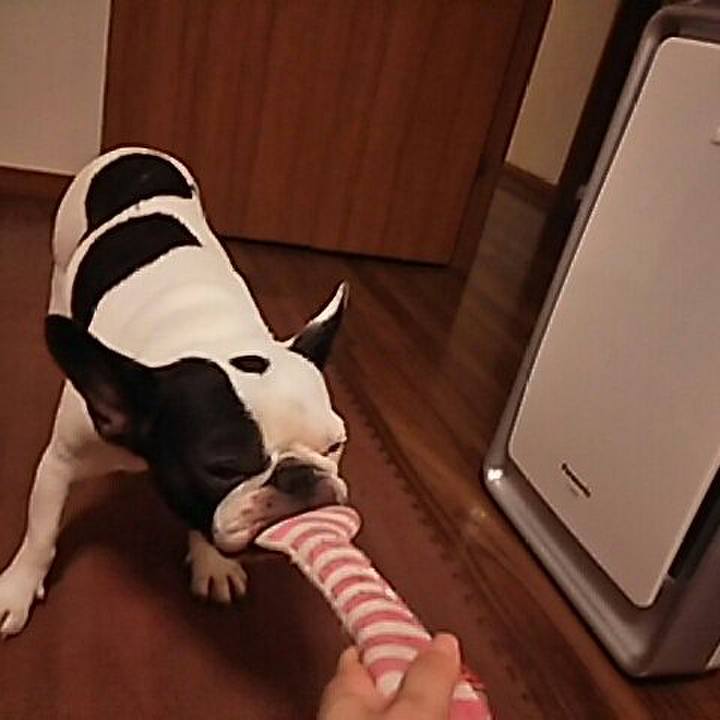 853a4a8f 3730 4424 b3ad 670b0404b521 1531054732274