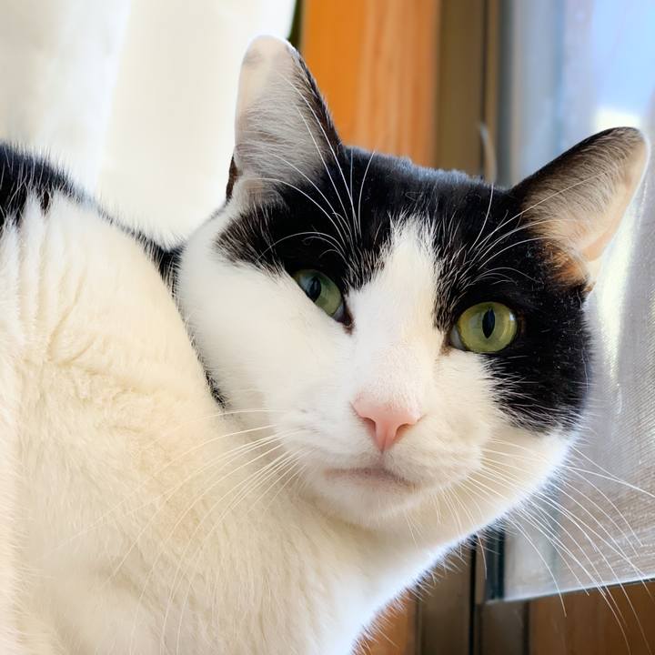 853a4e6b 1377 4e29 bc34 d4bcc8c0eb41 1578967780877