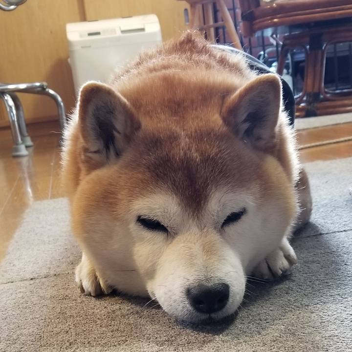 853a4f50 2493 4403 abc1 5c0759648c2e 1674950104895