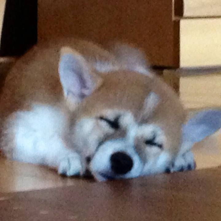 853a55e3 907f 468b 8308 1b0f46d8eb99 1523776157051