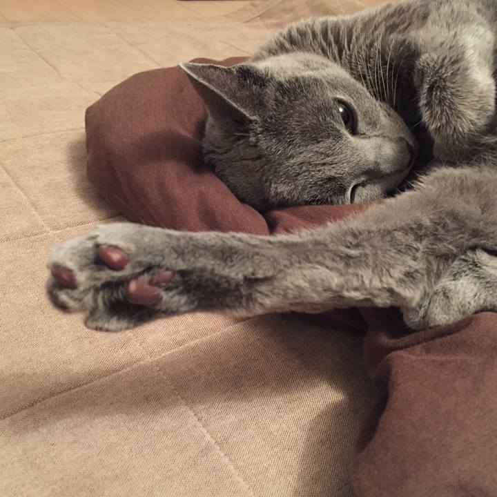 853a57c7 a9bd 450c 8336 6ad70cca075c 1551051495919