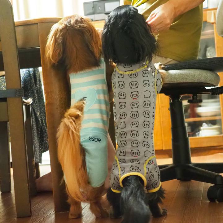 853af8c8 6729 47b2 8d0b 5f9fc24b7a25 1755688422456