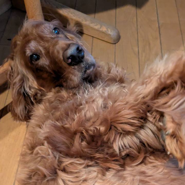 853b0109 6789 474d b69b 4d890bf6c360 1766055476160