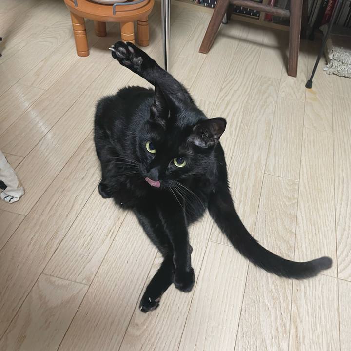 853b2616 4d11 4a83 891d 7d59c626bf0b 1643893001860