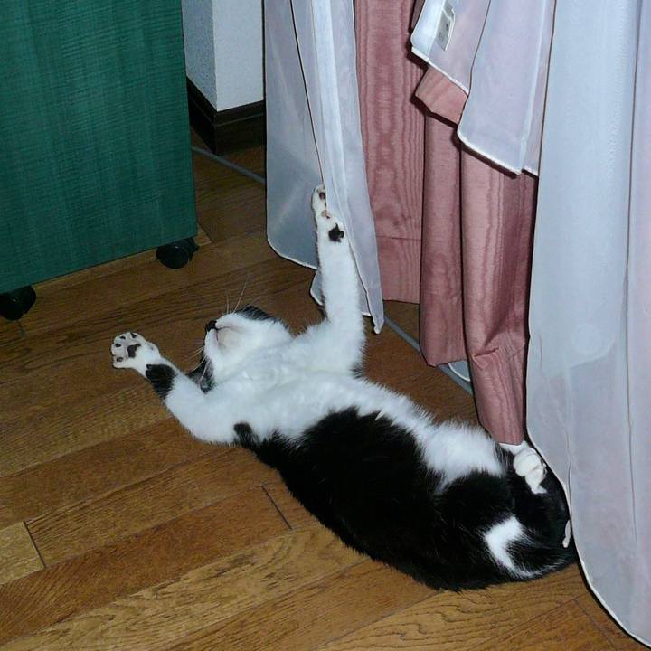 853bda89 10db 4584 b2ba 8542d4eba019 1624079601958