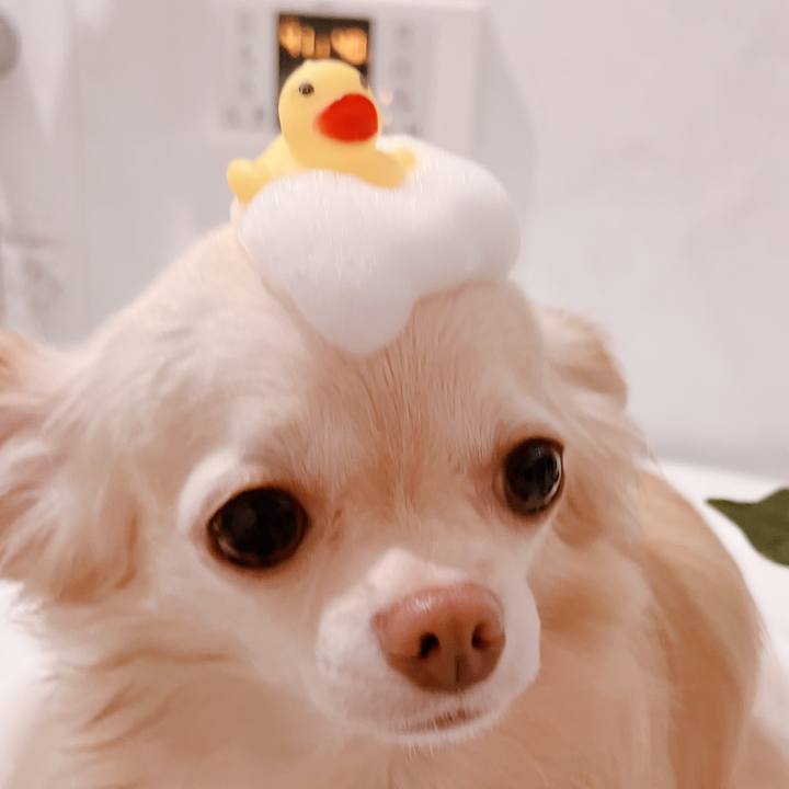 853c092f 72a7 4fdd 8637 d1d6de4601aa 1667045105792