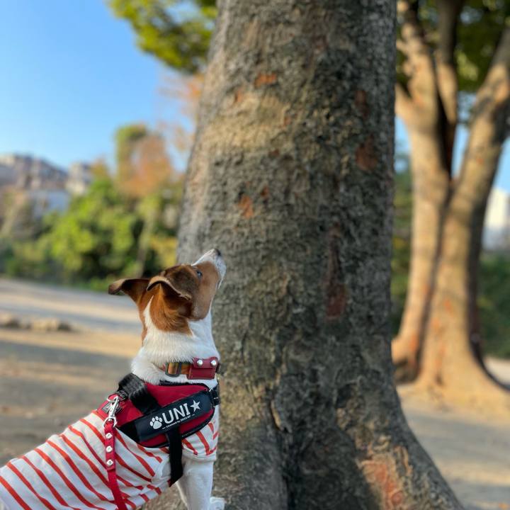 853c0ca8 a8cb 4812 8387 9e41a7ea2e4c 1699094080893