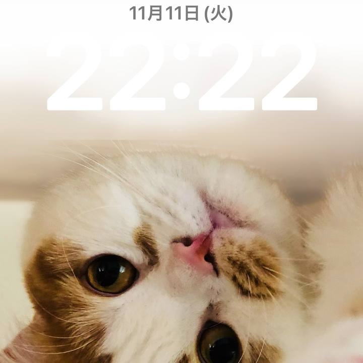 853c1853 5c1f 4280 a231 4f4f7d438075 1762867467535