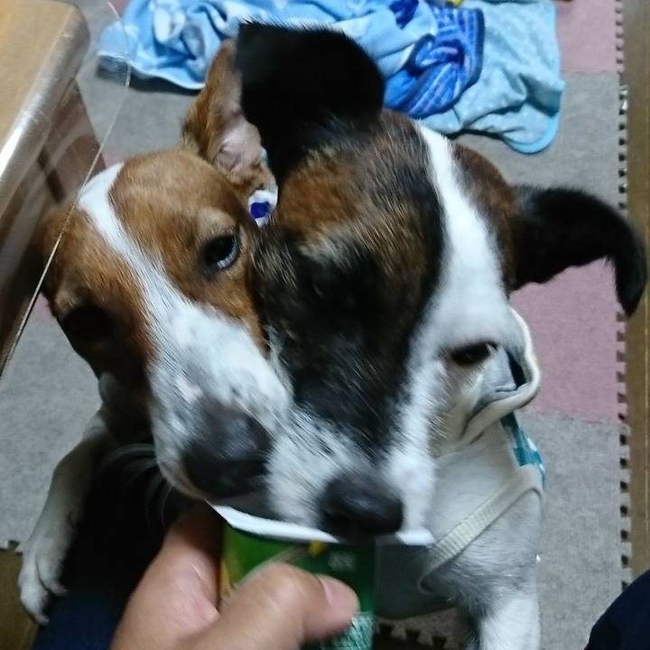 853c30aa e90d 446d be27 de76d5ec460c 1535846234358