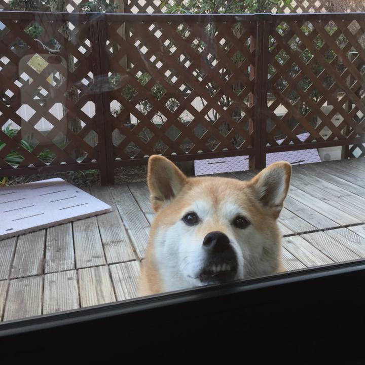 853c4f67 7cdc 4cd5 a30f d5db8c3c352e 1544536456399