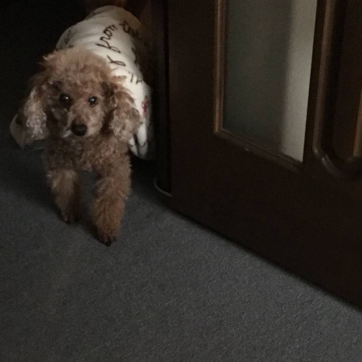 853c7ee7 7cf8 4f30 839a aaf637340766 1600541073812