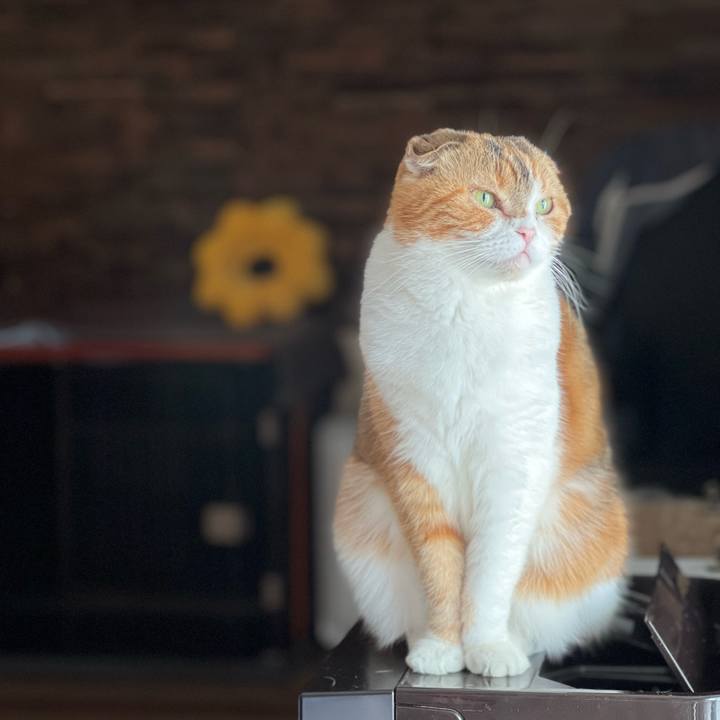 853c8c22 56db 47b5 8d59 e215c2dacf7c 1672456703383