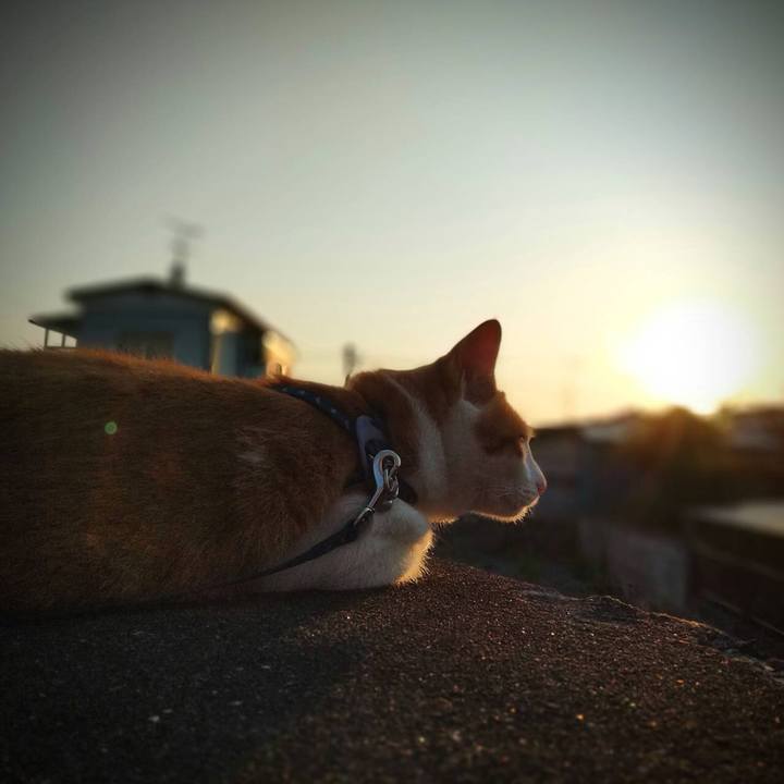 853c9f3c 9eca 49b3 98a3 9d822ee222a8 1528025765336