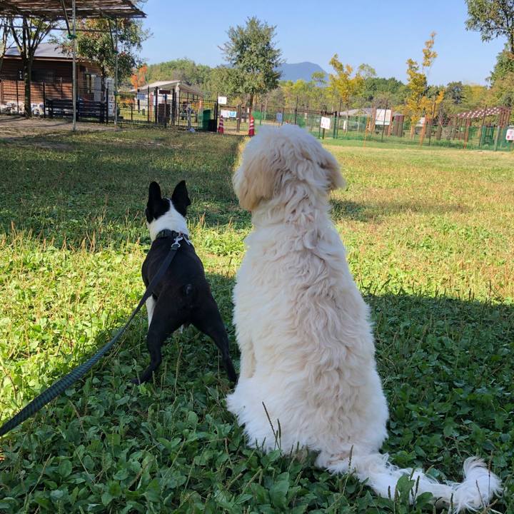 853c9f83 4cc1 4e47 a222 258980b9c0ad 1603334190249