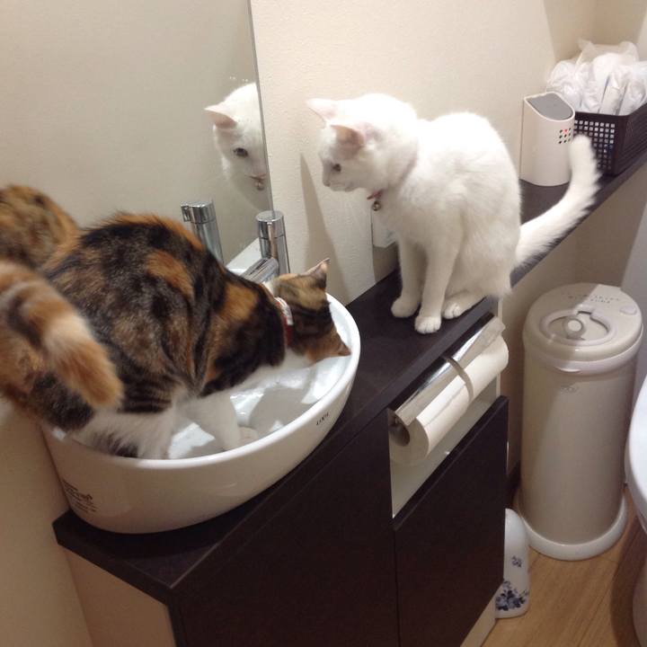 853cad6c 3646 4c70 8d82 d528bf091729 1630628597073