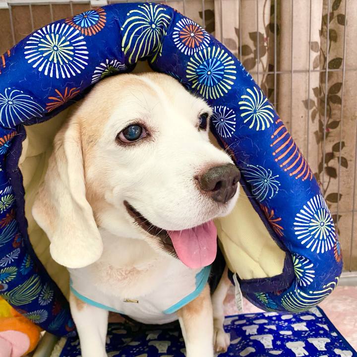 853cd8e4 f693 40fc ad0b dd5adc64925a 1662177397377