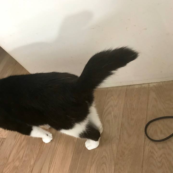 853cf588 0c5d 464e a2ab 7bef373b09f9 1521093121199