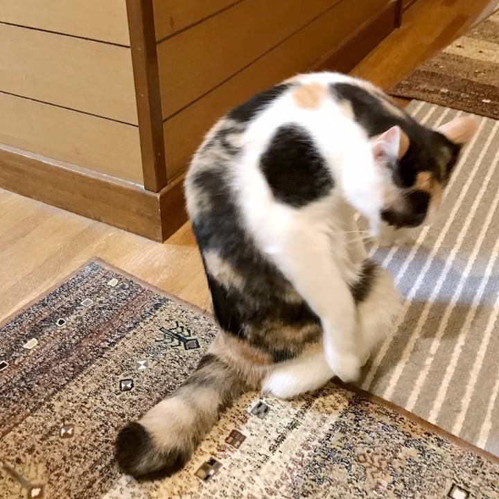 853d01ea 5dc5 4200 9fc1 4c390677b9b7 1537752322750