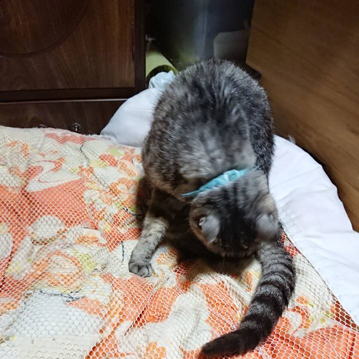 853d0379 6f3a 471b 9dd9 16a934dc53db 1569588421953