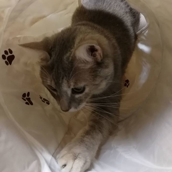 853d0bf7 15e1 448f 9b03 e98bc2a7da45 1541897174825