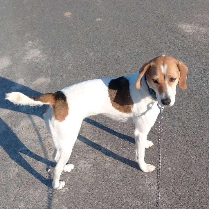 853d174e a3de 4860 b35d f3790d8c8b15 1613479785799