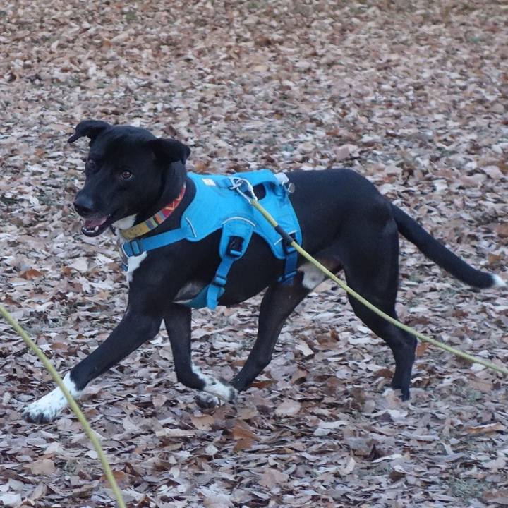 853d4450 b6e2 4ac3 86dd b1314e628274 1609547157304