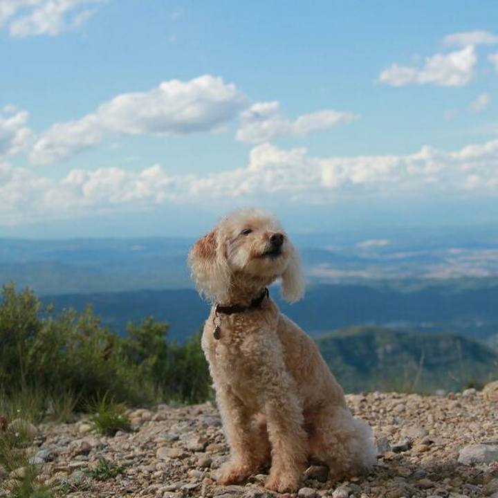 853d95ec d6b8 40f2 b12e 15da686c31b1 1592507776790