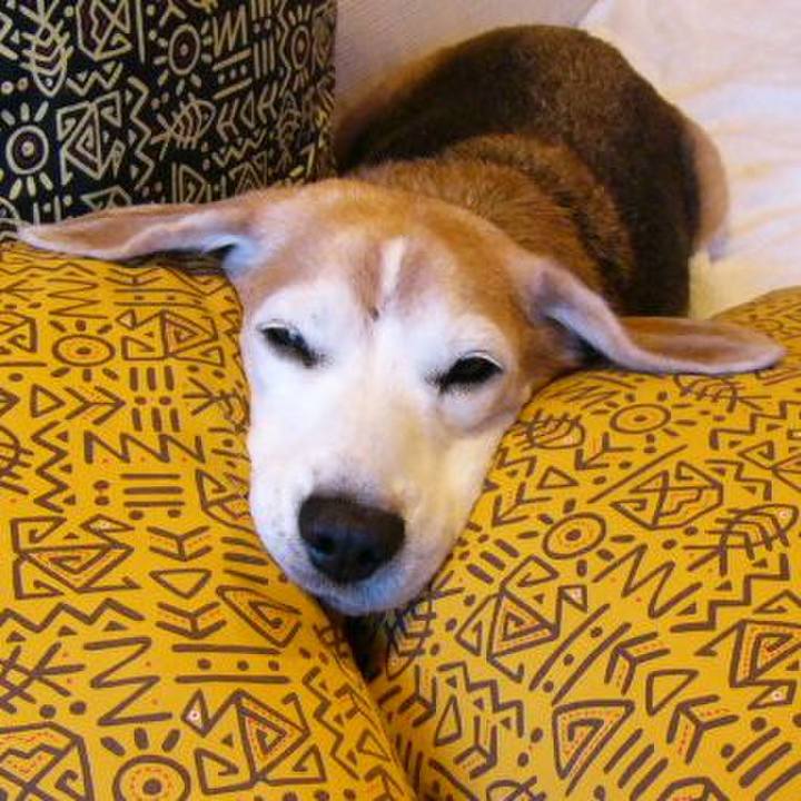 853d9a98 7c2c 4a15 bf02 a86d81895cc8 1656980780836