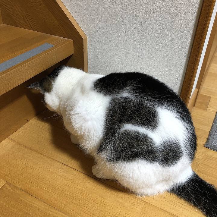 853dabae b1b4 4bc9 bc09 049db92f5d64 1664785786775