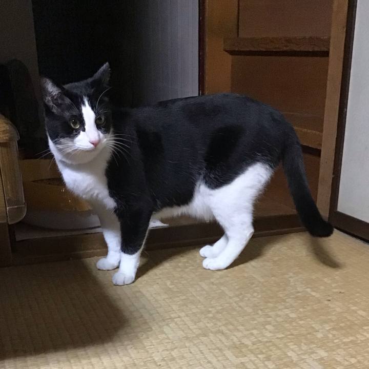 853db18a faa7 407a ba3b dc1f286c3786 1679575837169