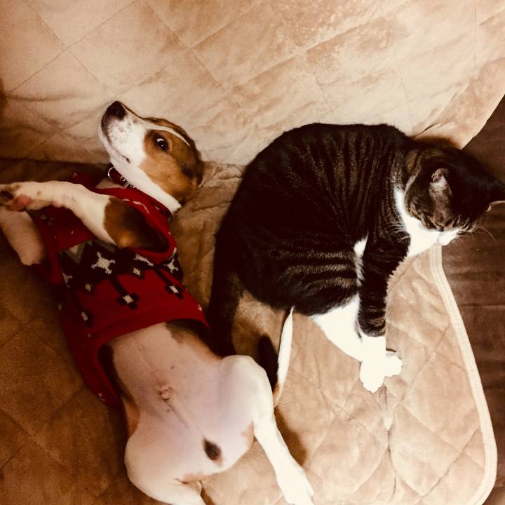 853db4bf cf62 4fa8 bd62 b3d86da34c53 1515717935630