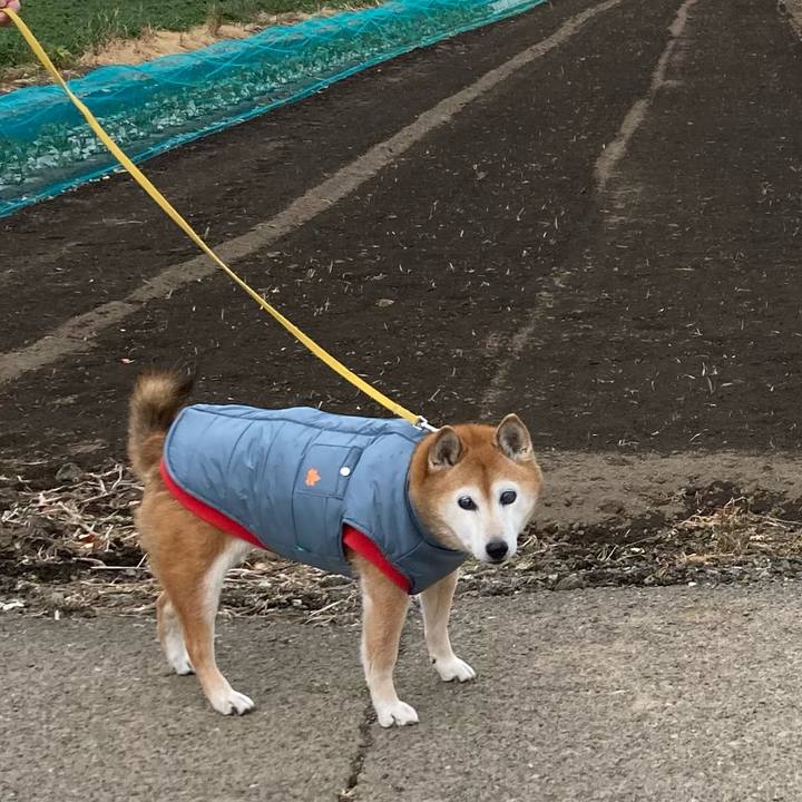 853dde20 4bad 4059 b04d feff22ed2d72 1766199724426