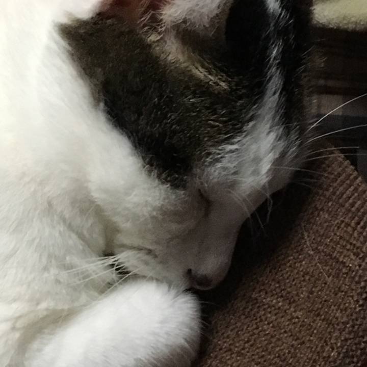 853df692 f28b 46e6 9222 ec54dd8f827b 1562382644844