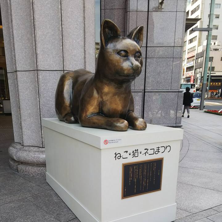 853e0ba8 3fff 4073 aba1 cc5123f8b8ba 1526101010979