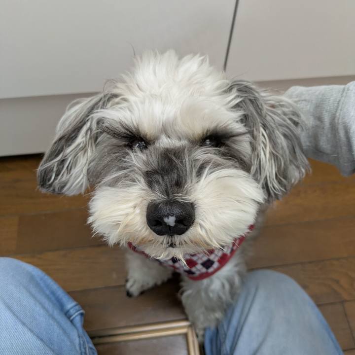 853e2bd5 8299 46c5 a6b4 a75919e80e11 1765242175097