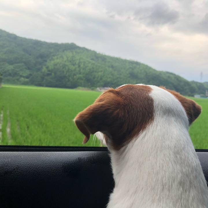 853ed6b7 083f 40b1 9d2a 28e88639d4eb 1720237295310