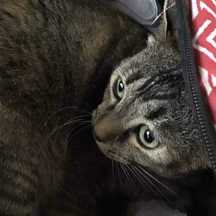 853ed94c 25cd 4517 99cf b164f03911a6 1685445431337