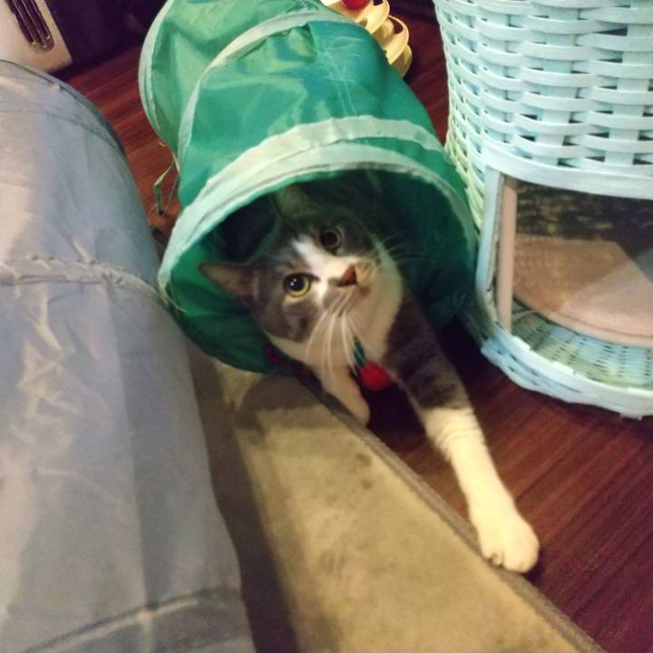 853f0542 52cd 4665 be4c 814f9448d126 1644493592980