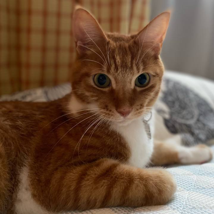 853f0ebd 5d36 4d93 aeeb 400c12bab8d8 1622294136191