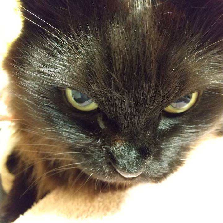 853f30aa 72ba 480b a667 e282a11694f5 1580040469867