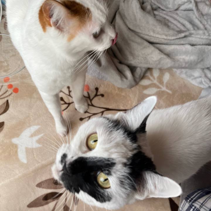 853f3eb2 345a 4ed3 a7d8 a33b80f8c778 1773488126261