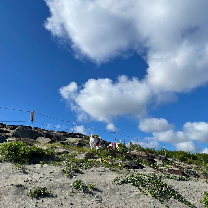 853f6389 5cf1 41d2 851e 598d9fce89ec 1654732373437