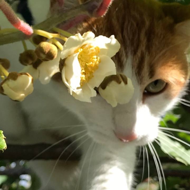 853f8d84 4fad 48a5 926d ef6c8083c561 1528610480717