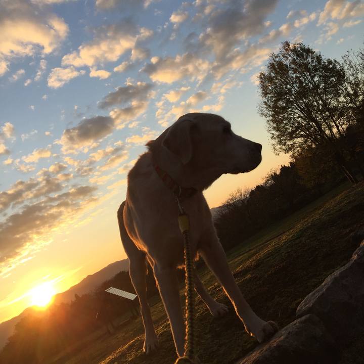 853f9f4a c056 4f08 842e e99c87564b5c 1550585715269