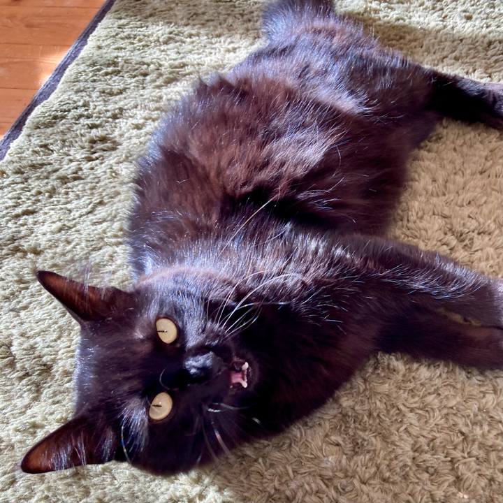 853fb794 4237 4b24 bc5d e5d4b8ecea86 1767610422785