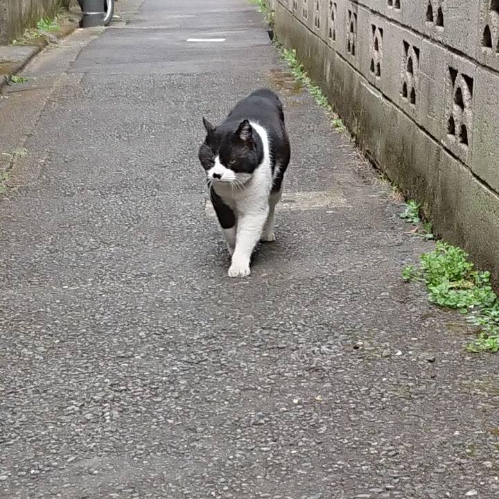 853fc49a ba87 4193 8409 e23be16dcc86 1678663408771